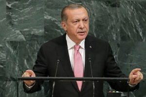 erdoqan bmt