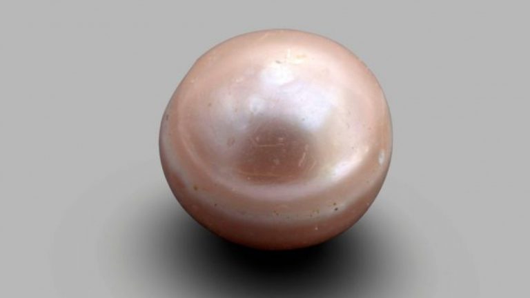15717316783245733986_1000x669
