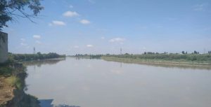 kur cayi