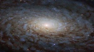 A Galactic Portal