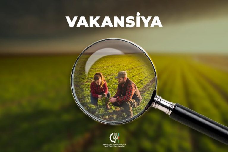 vakansiya_231019