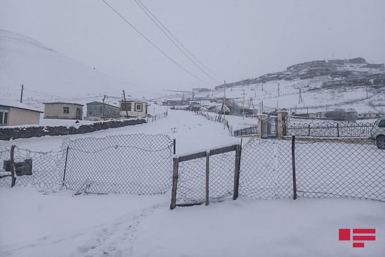 qar
