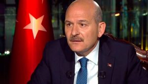 soylu