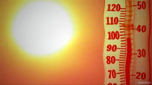 15753781272620060677_1000x669