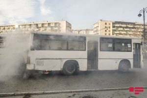 avtobus