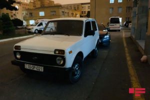niva