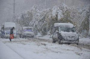 turkey_snow_130115
