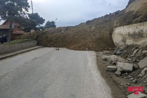 surusme 01
