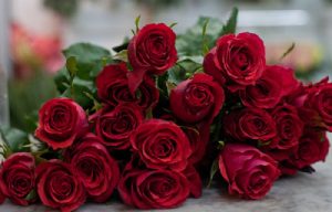 8 MART