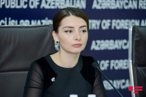 xin leyla