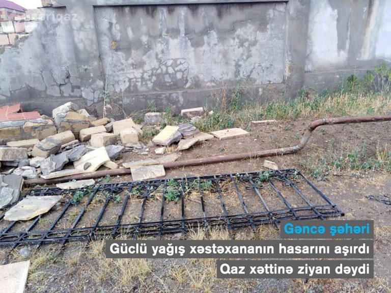 fb13c63f-2908-3957-976d-79ede6d3f2bb