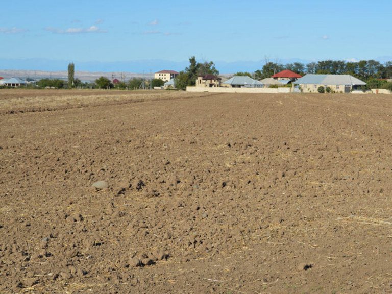 torpaq soran