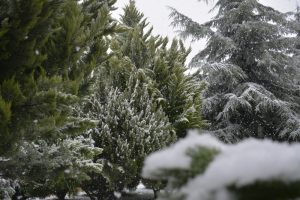 hava