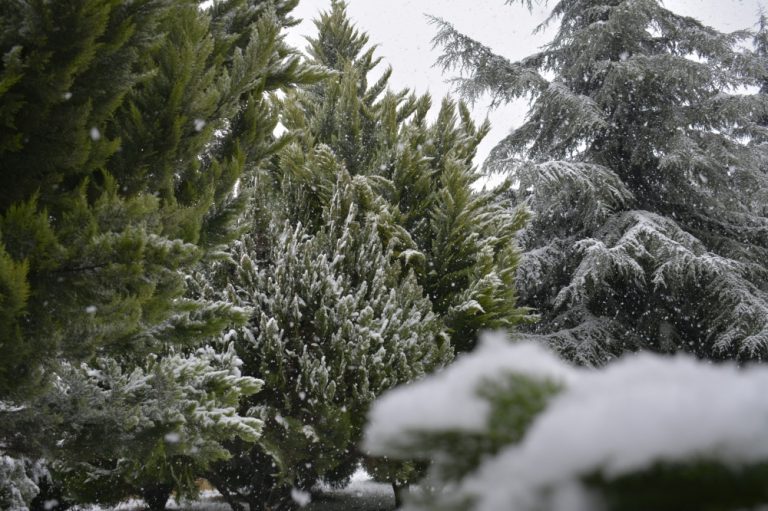 hava