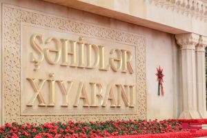 sehidler