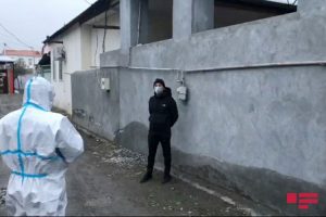 virus xeste