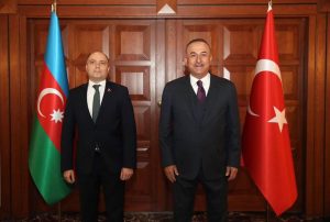 cavusoqlu anar