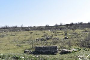 merdinli