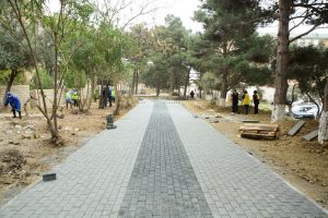 park01