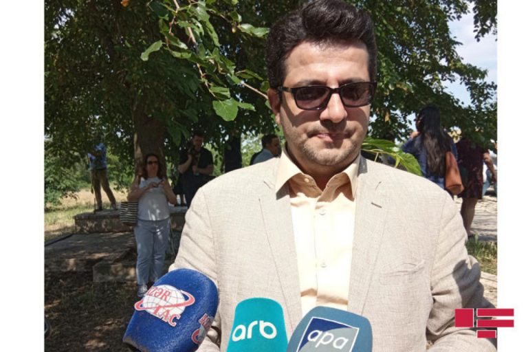 iran sefiri