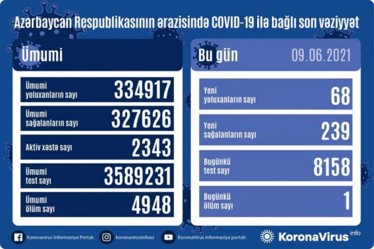 xeste