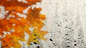 hava