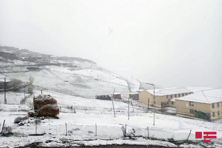 qar simal