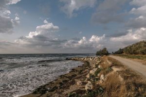 azov deniz