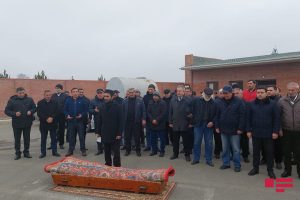 novruz qarta