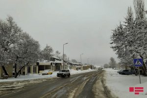 qar