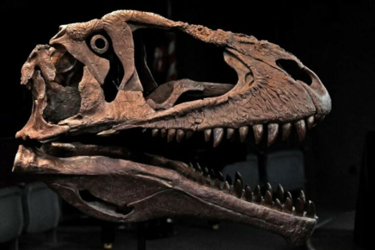 dinozavr
