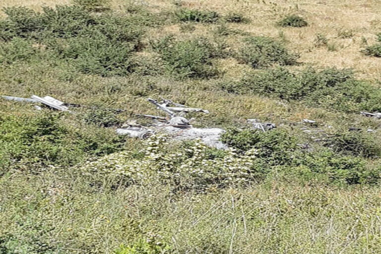 ermeni vertalyot