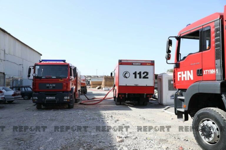 fhn