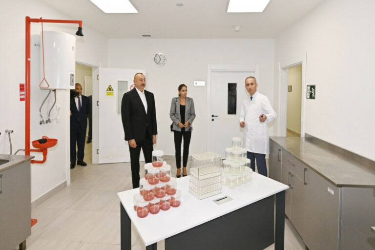 ilham badam