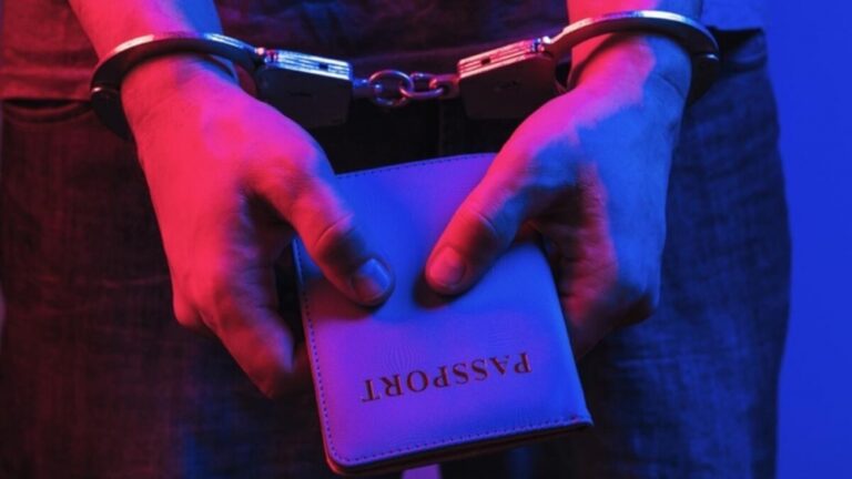 pasport firildaq
