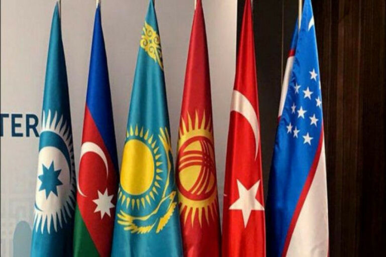 turk dov bir