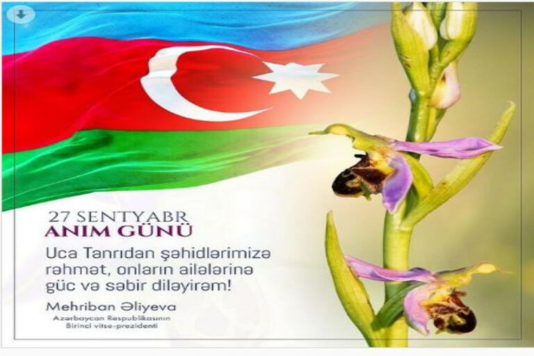mehriban anim