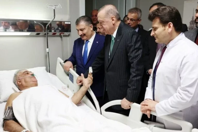 bineli erdo xeste