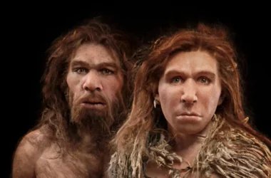Neandertallar