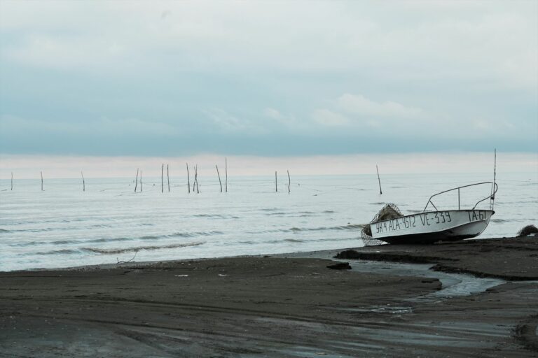 xezer deniz