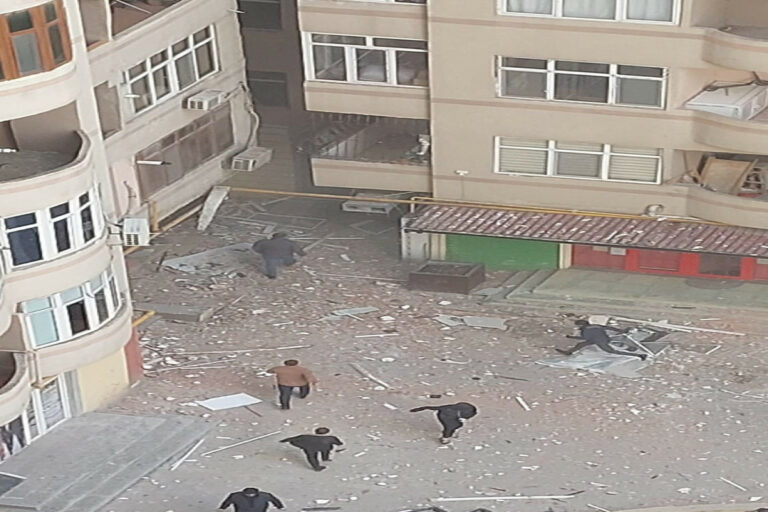 partla bina esas