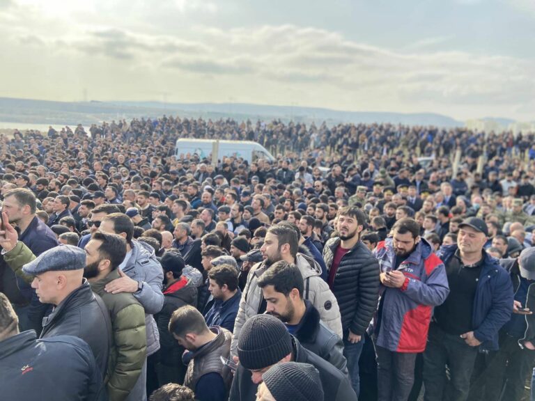 sahin defn01