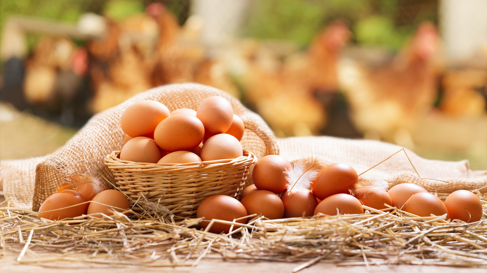Basket,Of,Chicken,Eggs,On,A,Wooden,Table,Over,Farm