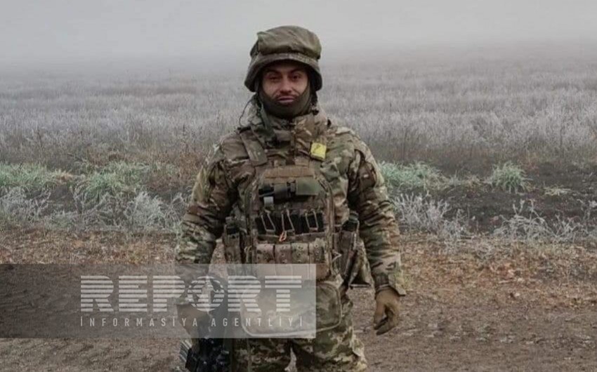 elvin ukr