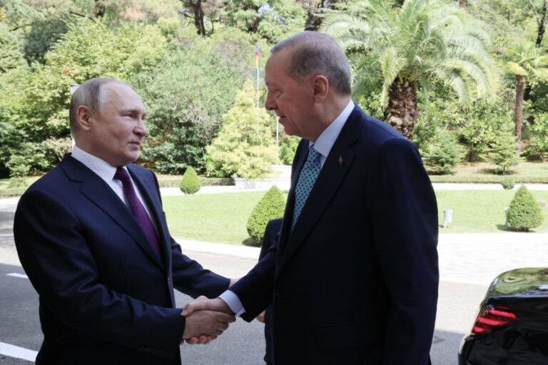 putin erdoqan soci