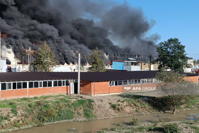 masalli bazar