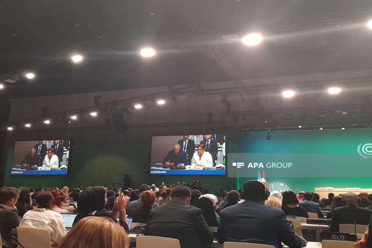 cop29
