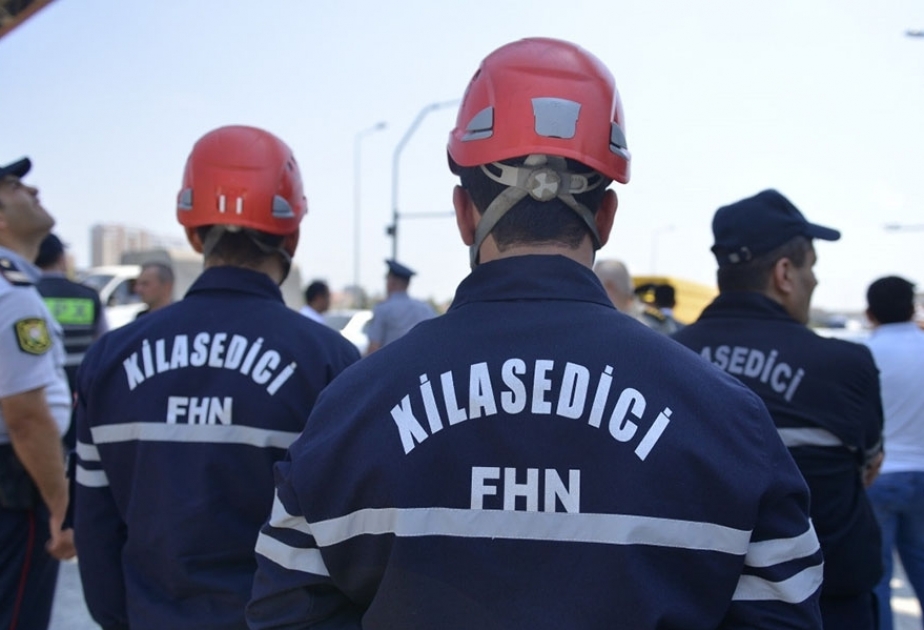 fhn