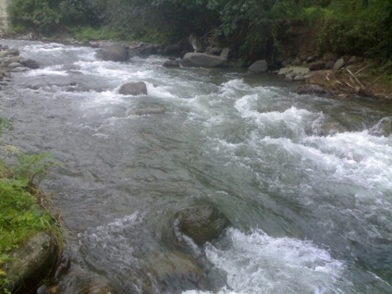 1346048147_kur-cayi_911397931562558