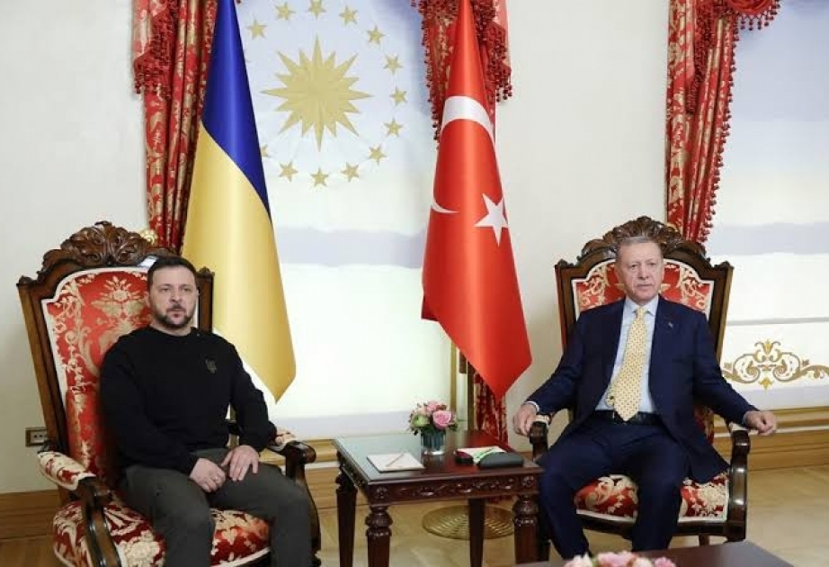 zelenski erdoq02